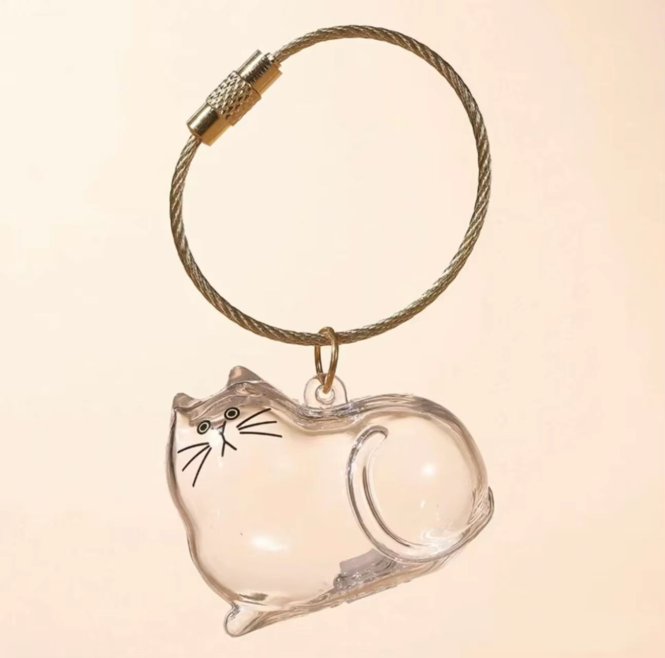 Transparent Cat Hair Storage Keychain Pendant Pet Fur Keepsake Memorial Souvenir for Backpack Bag Car Key Ginger Cat Lover Gift