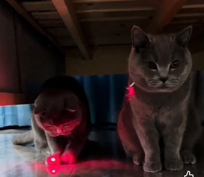 LumiLaser™ Interactive Collar Toy